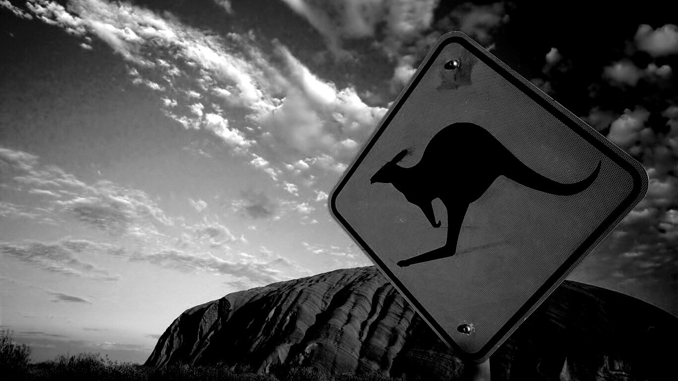 Осторожно, кенгуру! обои