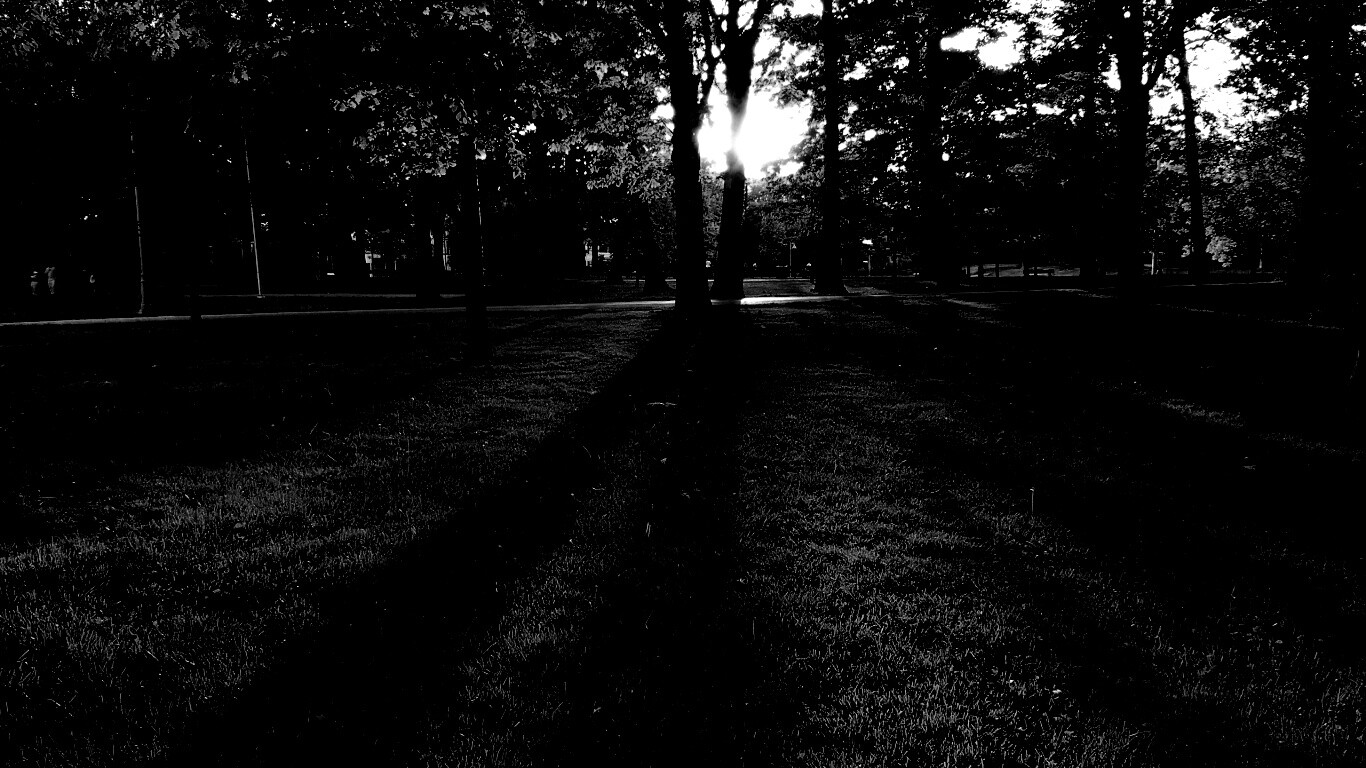 Лучи солнца сквозь листву деревьев обои