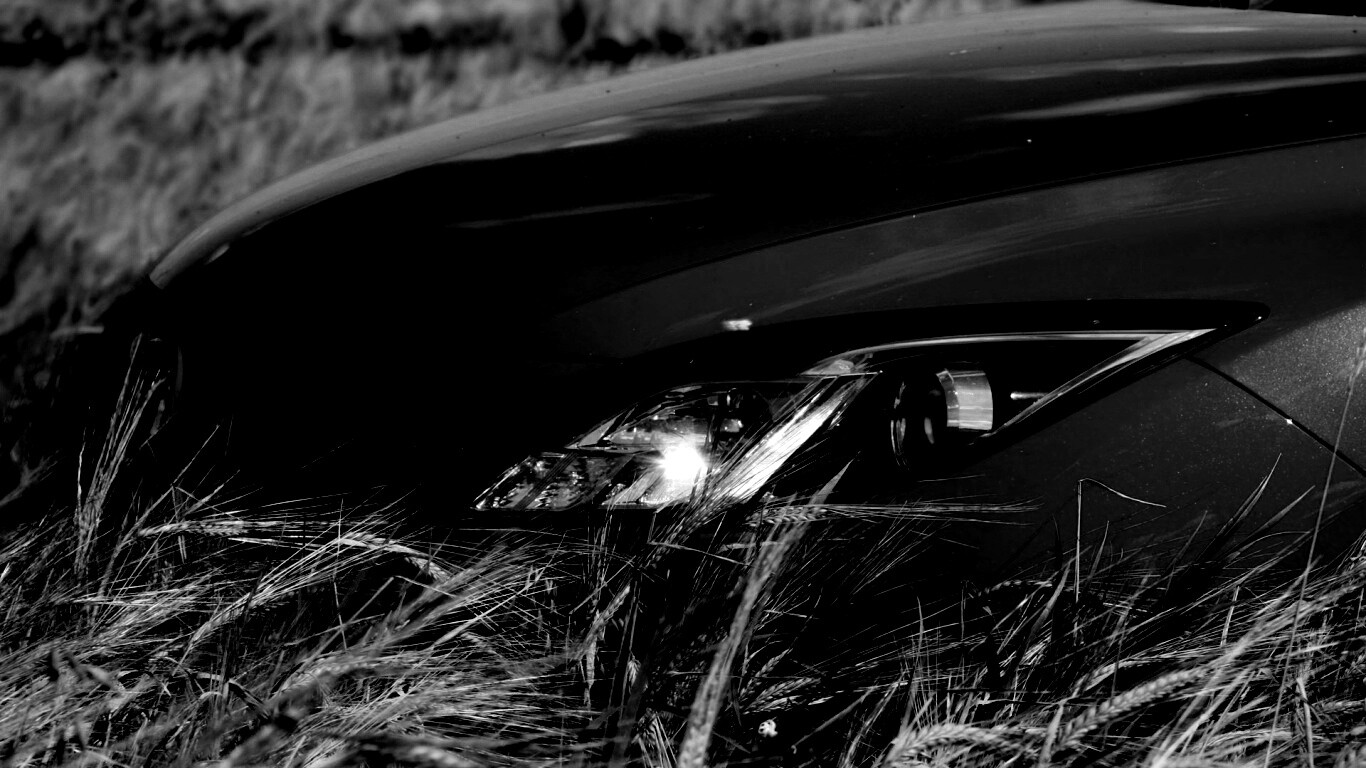 Мазда в пшенице обои