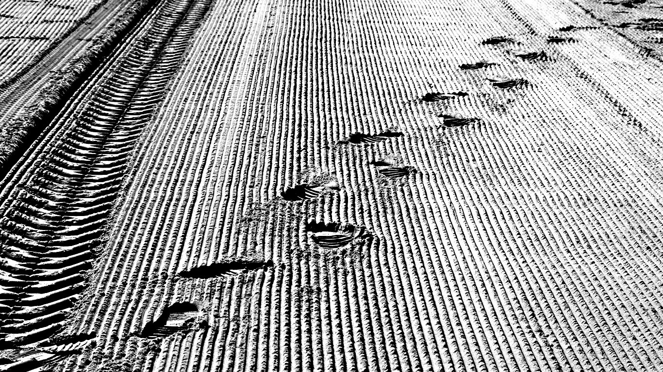 Следы на песке обои