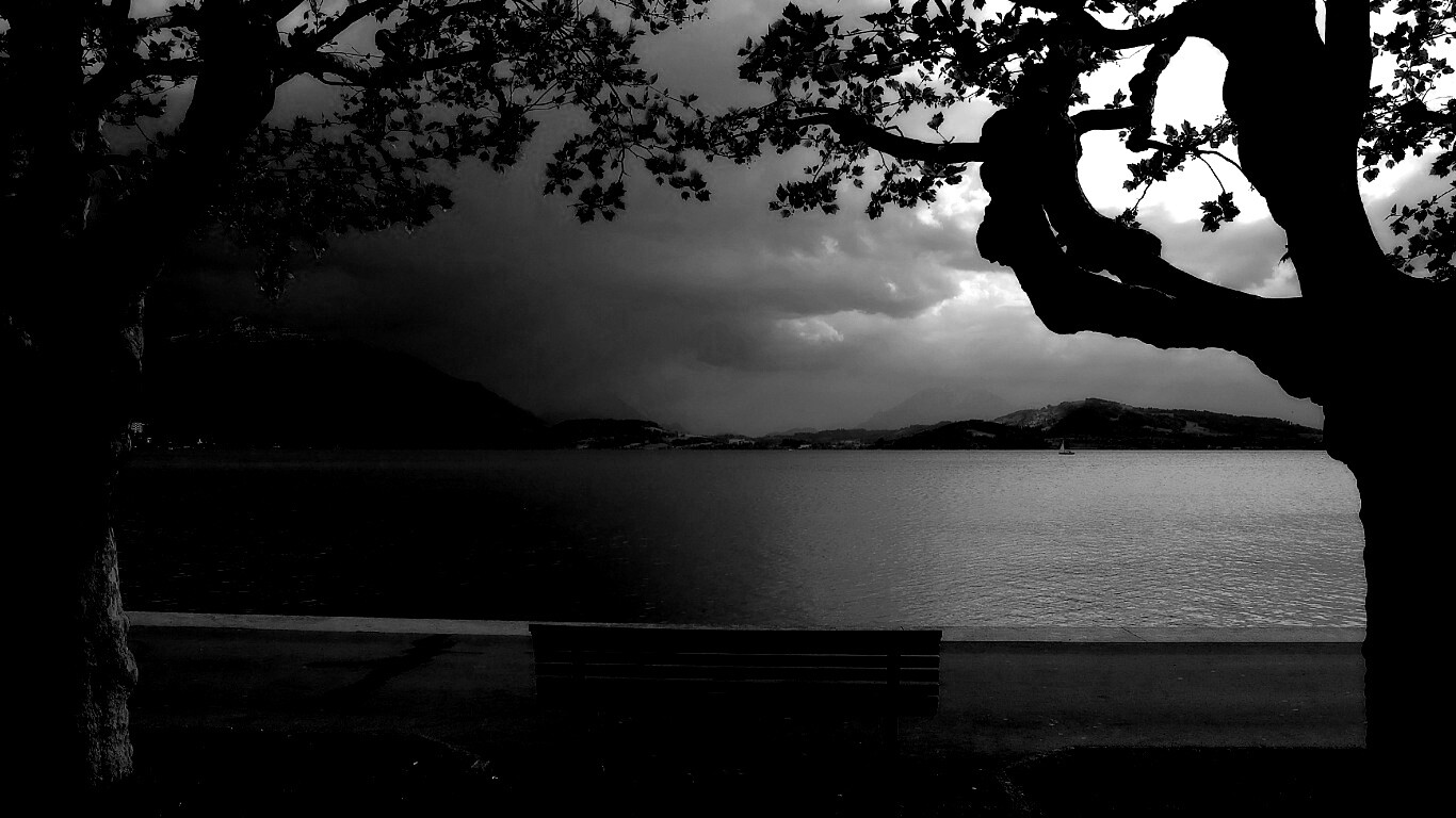 Скамейка на берегу обои