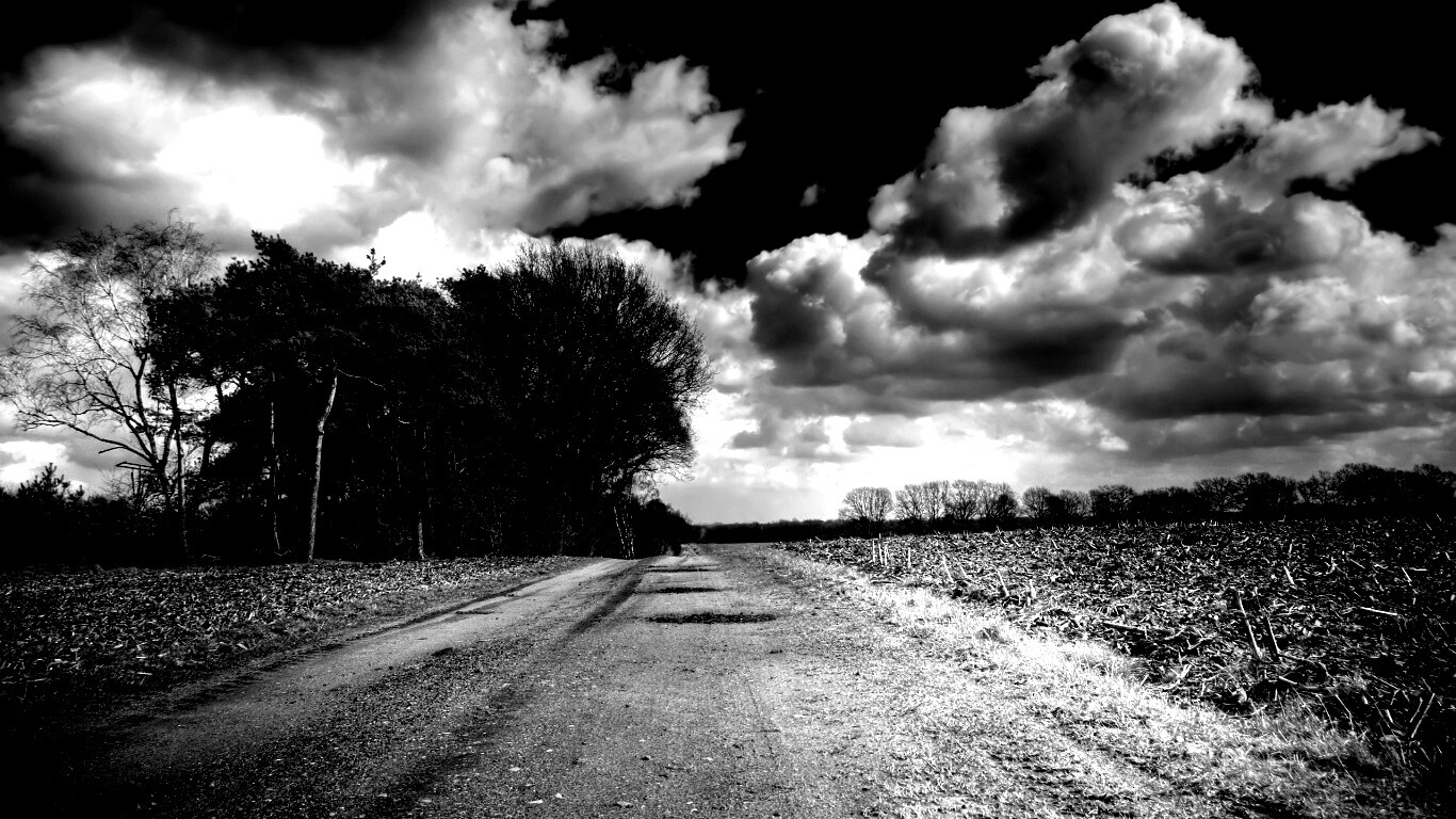 Дорога через поле обои