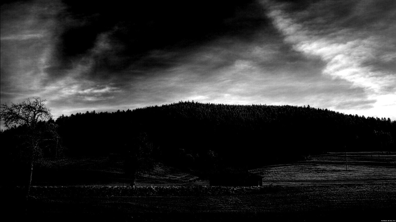 Домик в поле обои