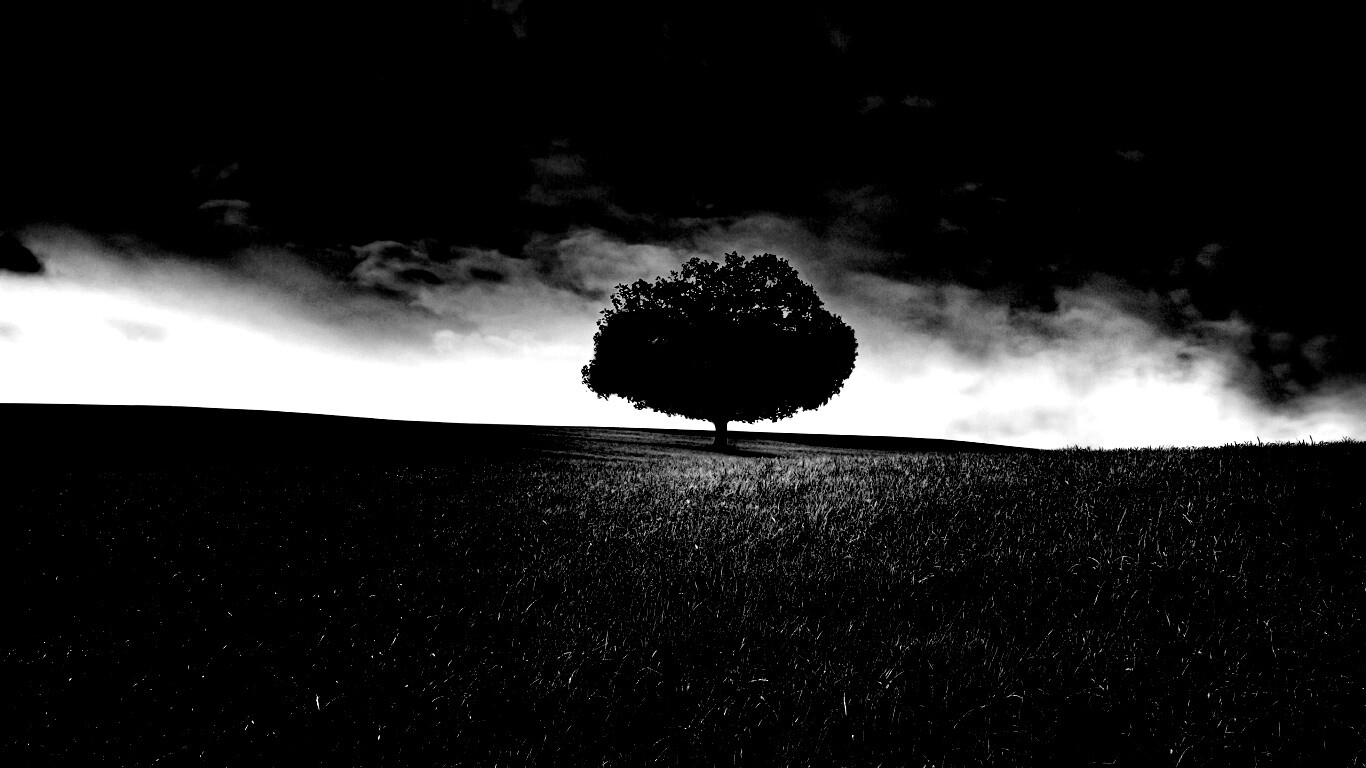 Одинокое дерево под грозовым небом обои