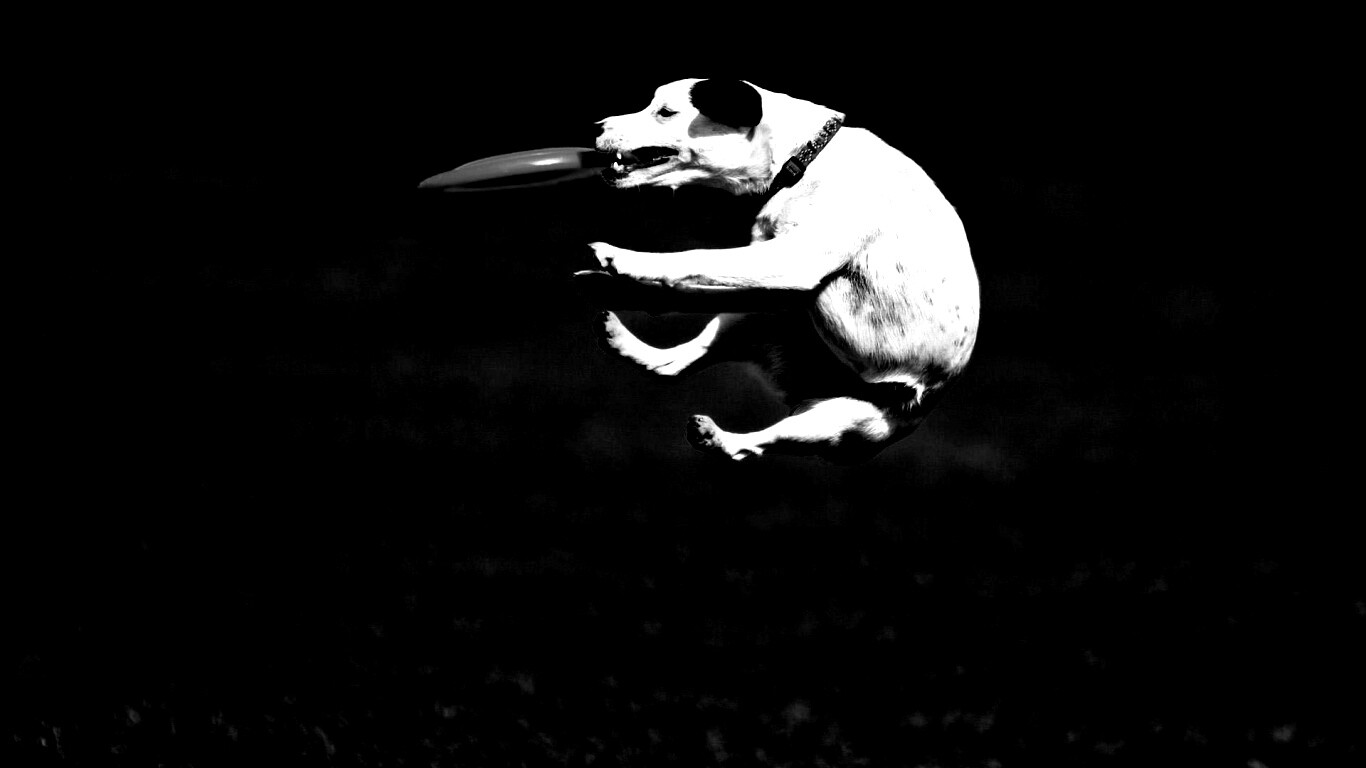 Ловкач обои