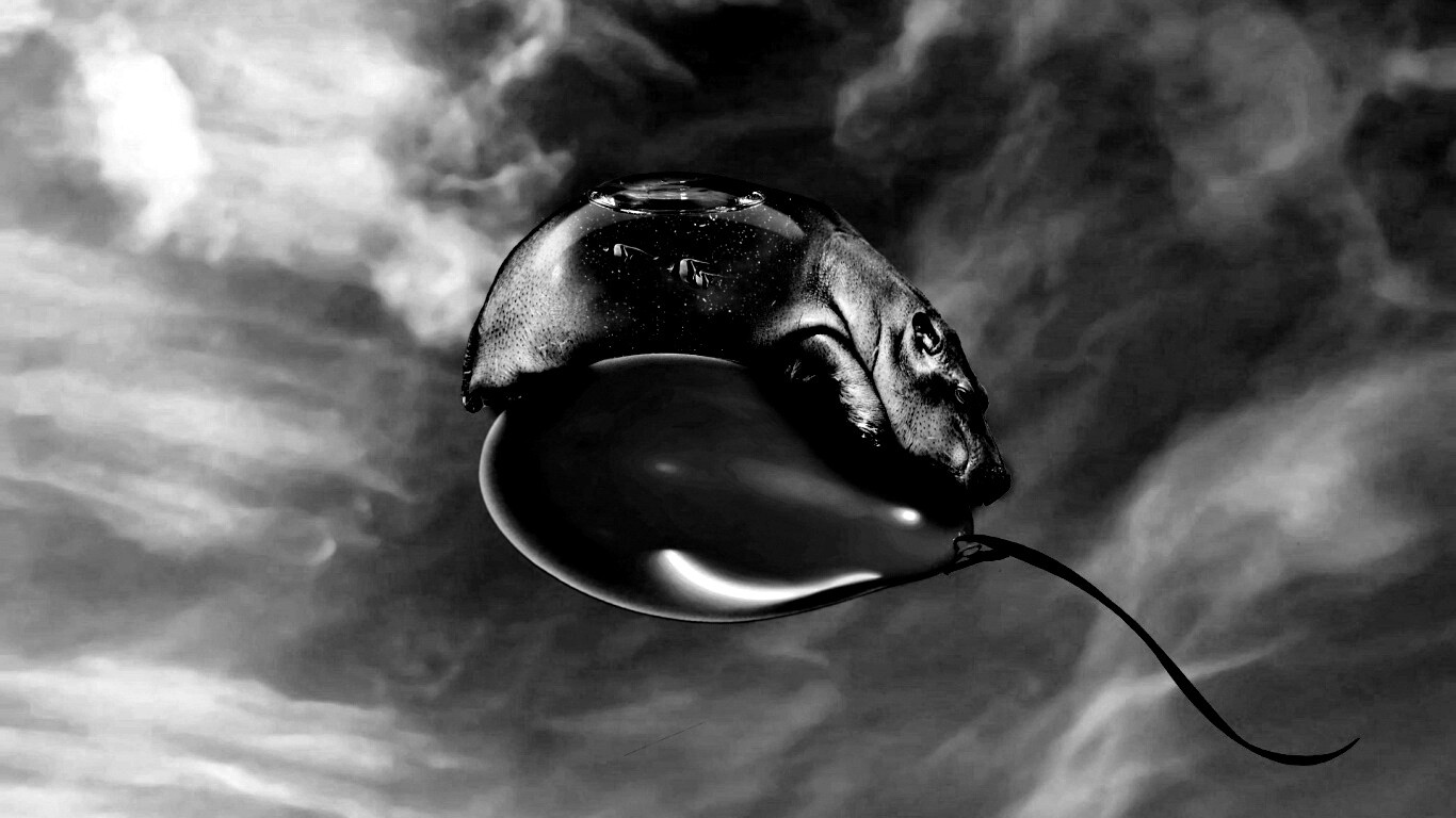 Водяной гиппопотам на шарике обои