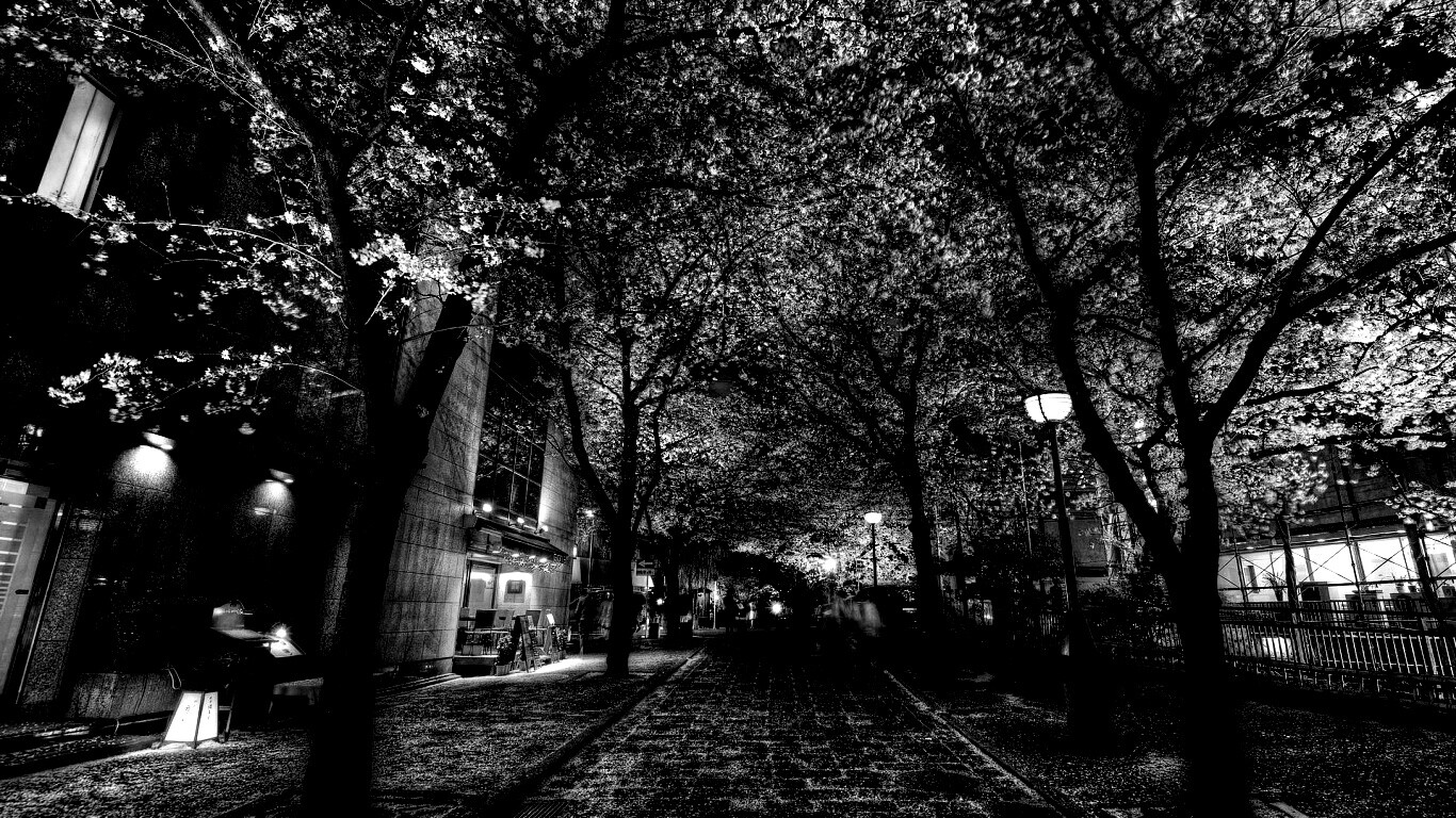 Аллея лепестков обои