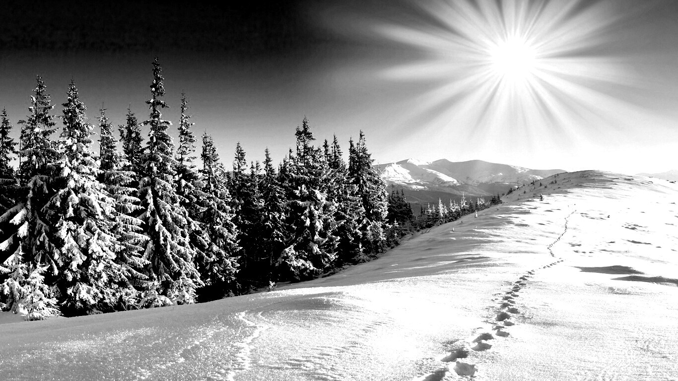 Холодные лучи зимнего солнца обои