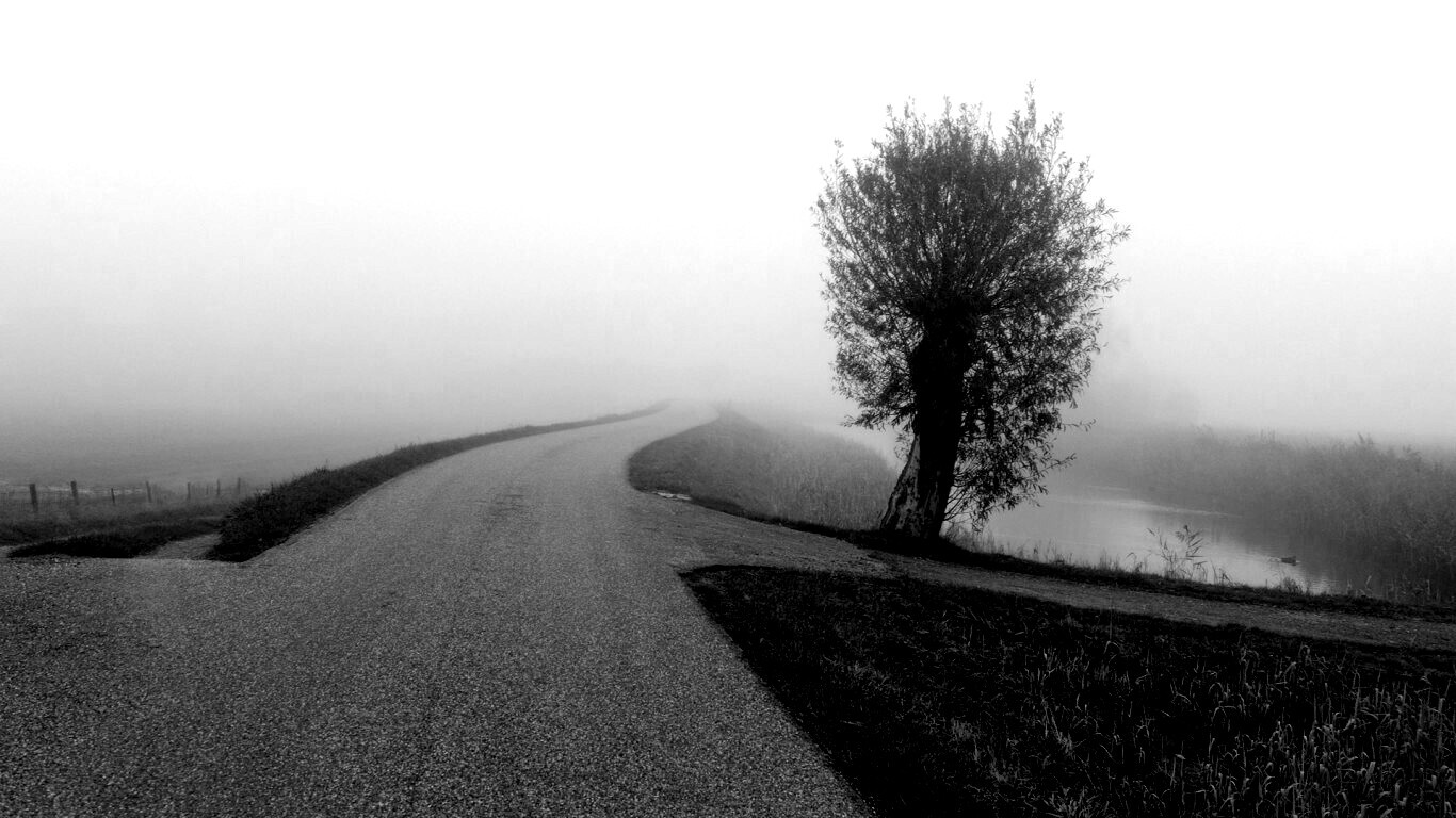Дорога растворяется в тумане обои