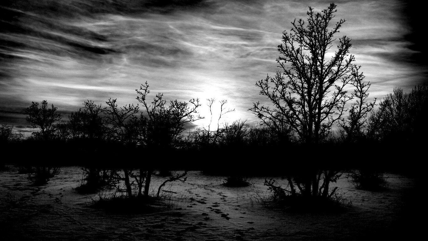 Закат в зимнем лесу обои