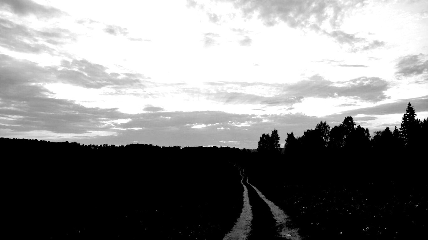 Дорога к лесу обои