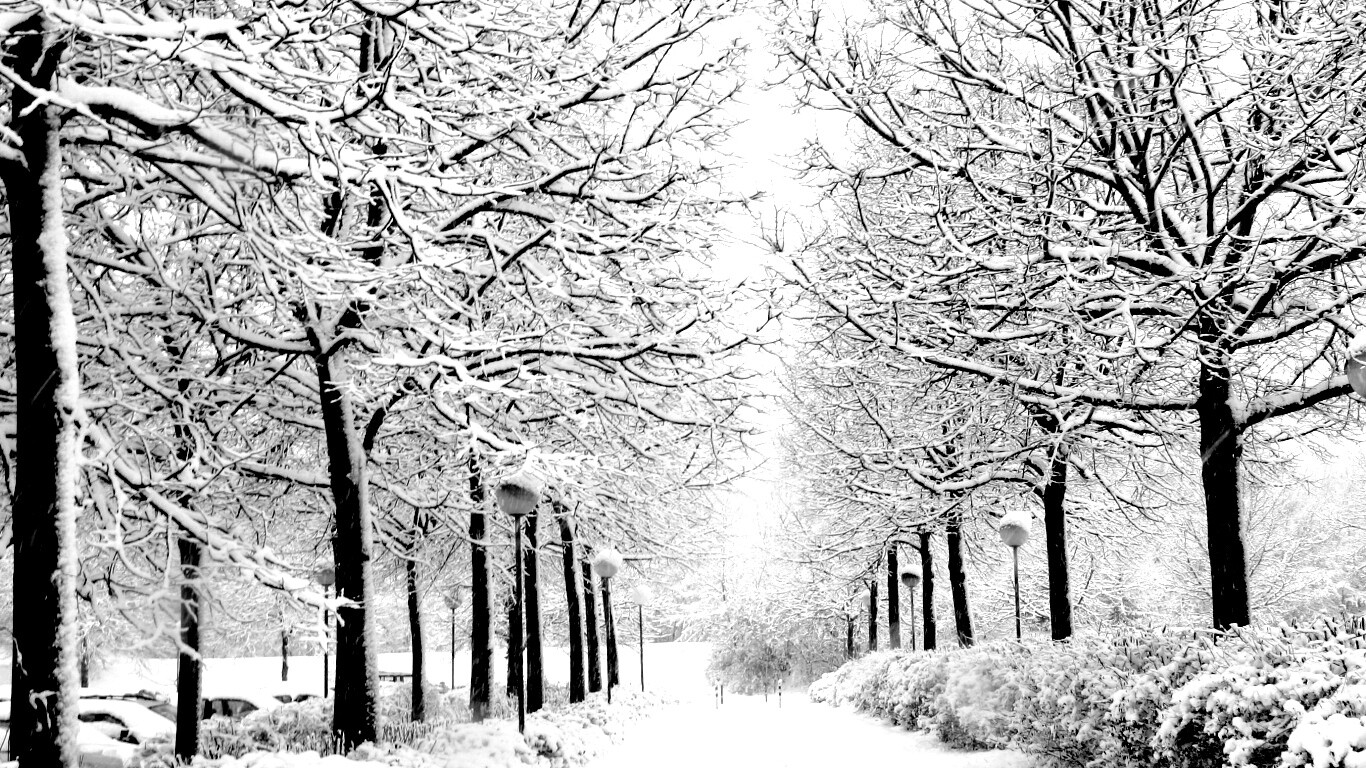 Заснеженная аллея обои