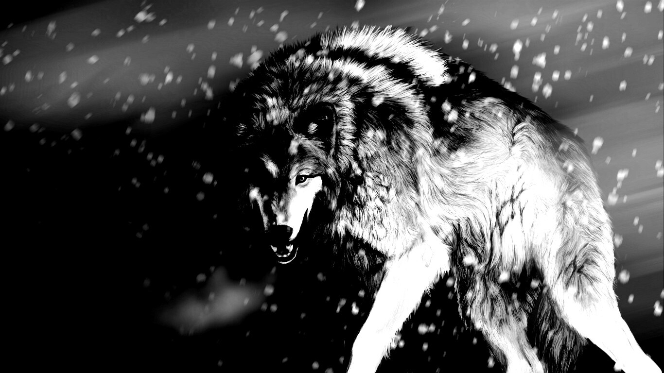 Охота на волка обои