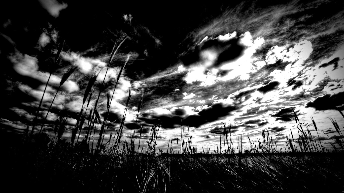 HDR Поле обои