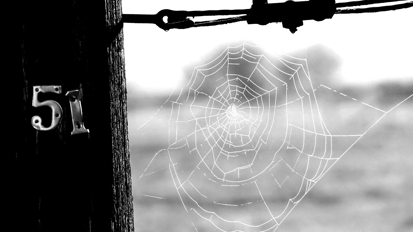 Паутина 51 обои