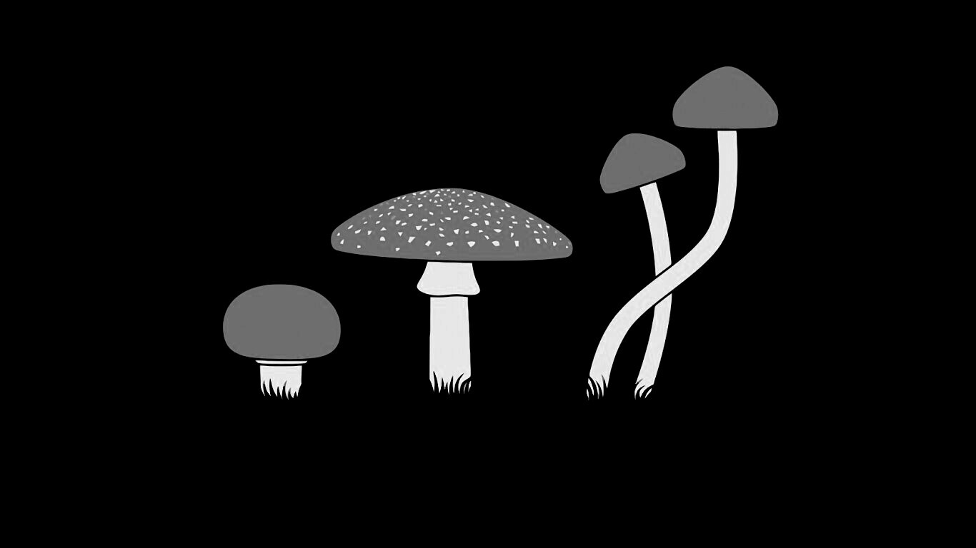 Грибочки обои