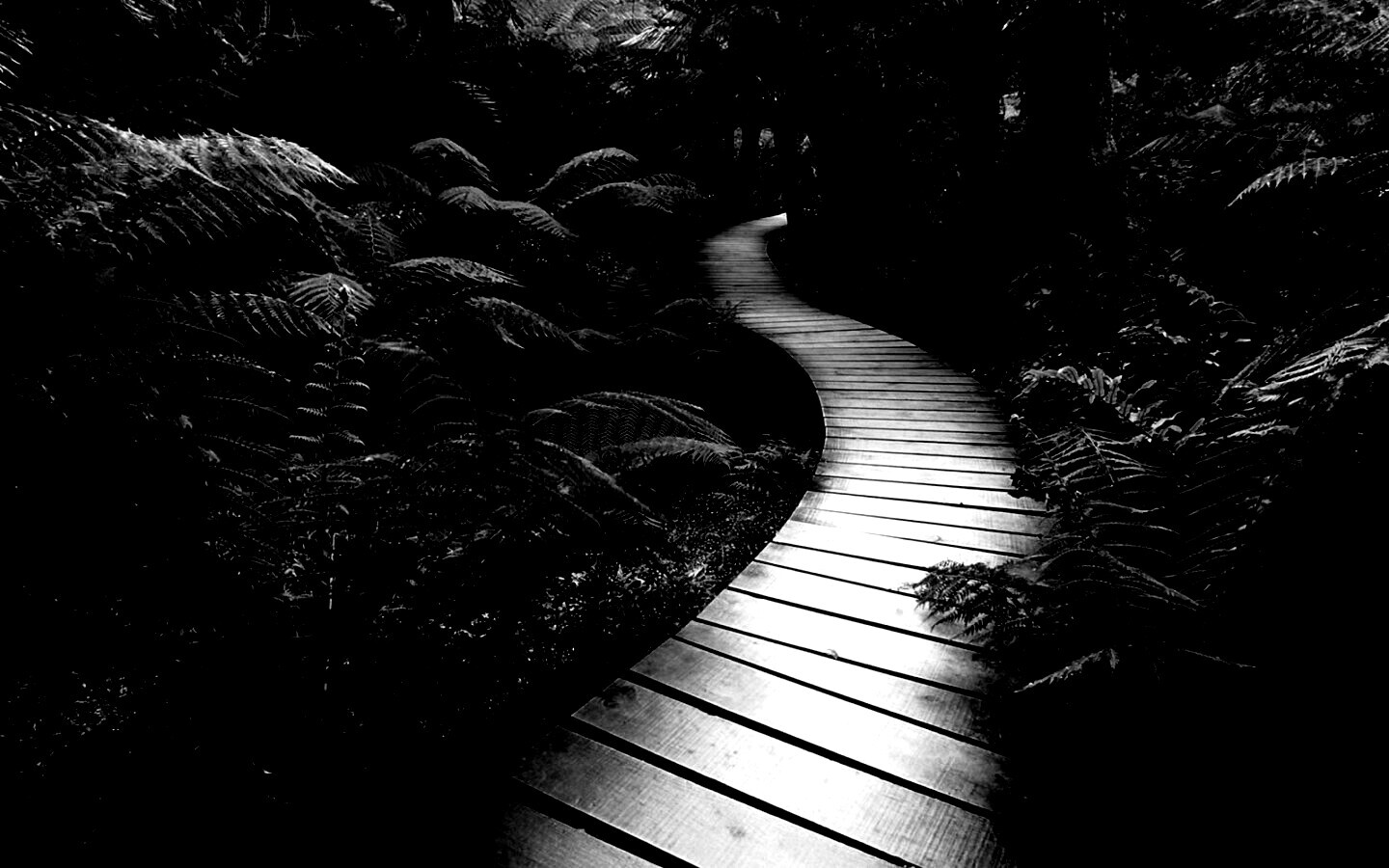 Дорожка в зарослях обои