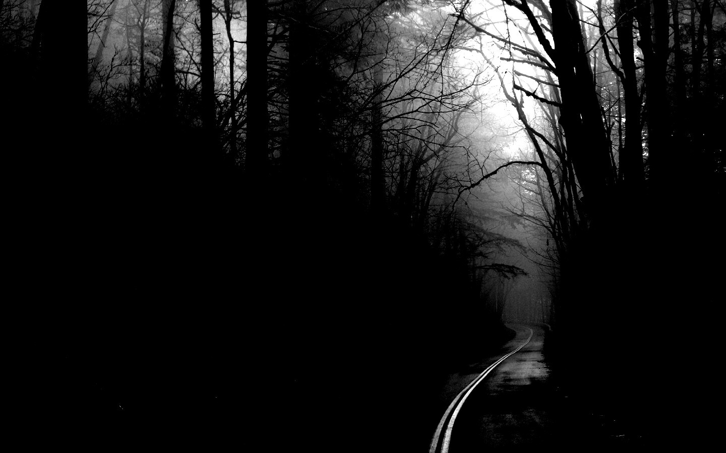 В туман обои