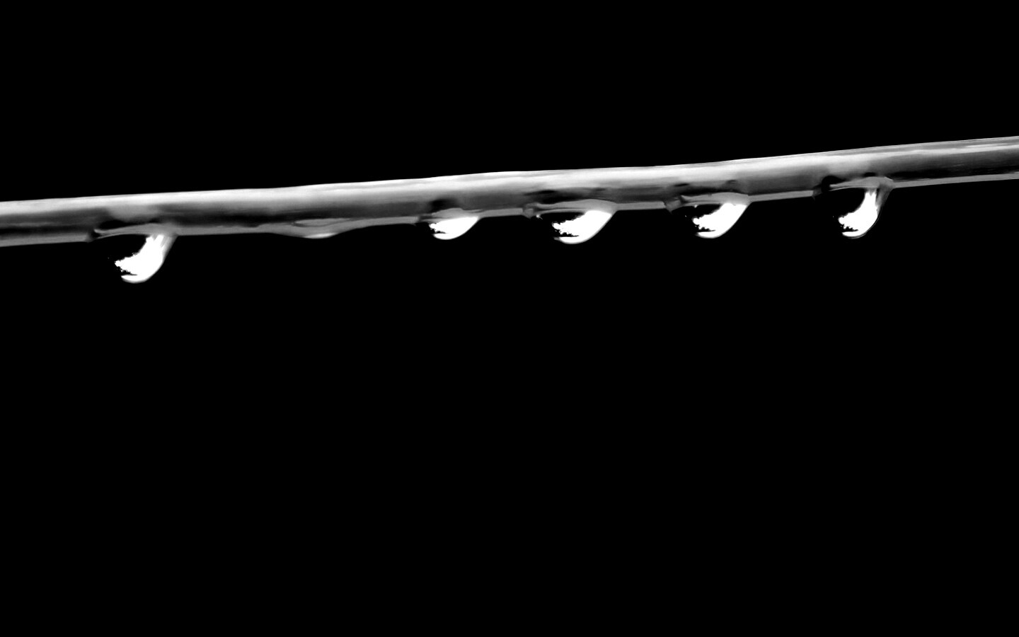 Капли на соломинке обои