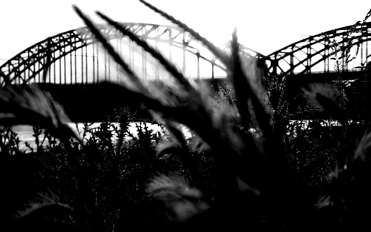 Железнодорожный мост обои