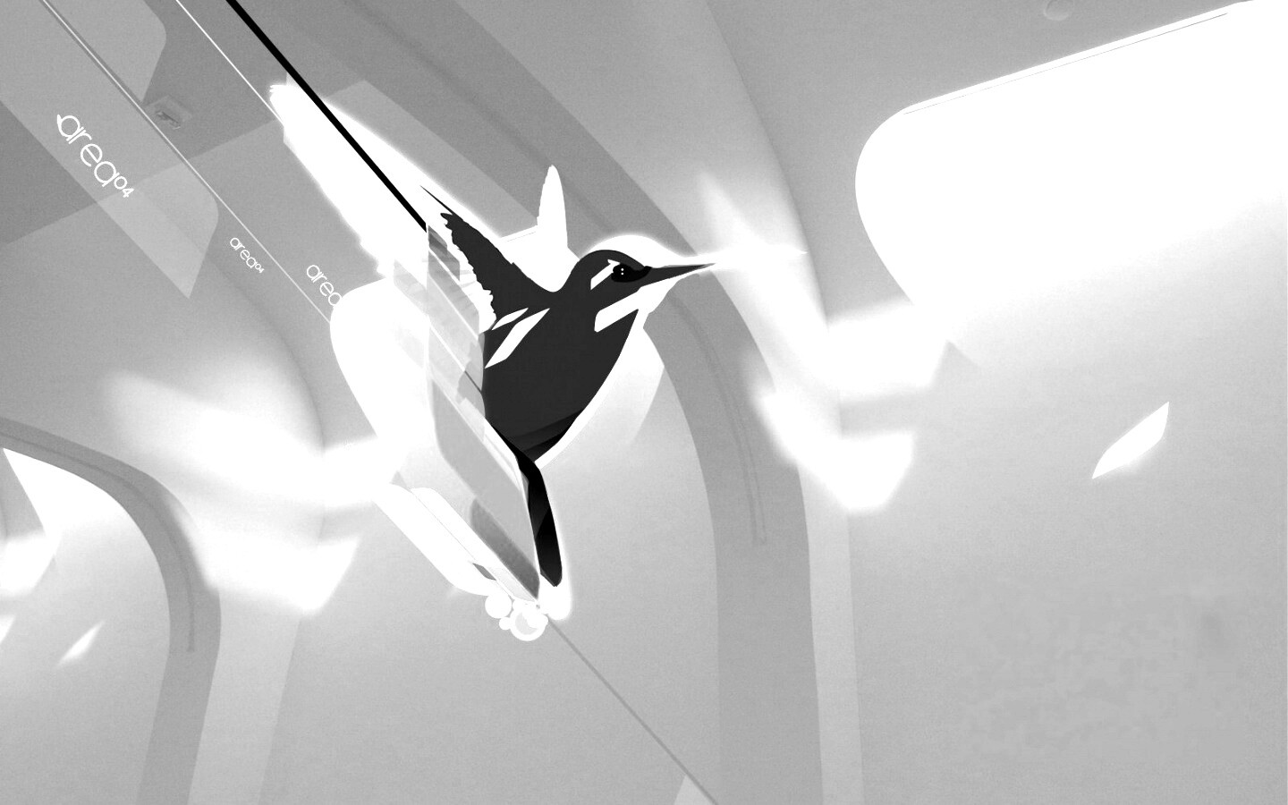 Логотип-колибри обои