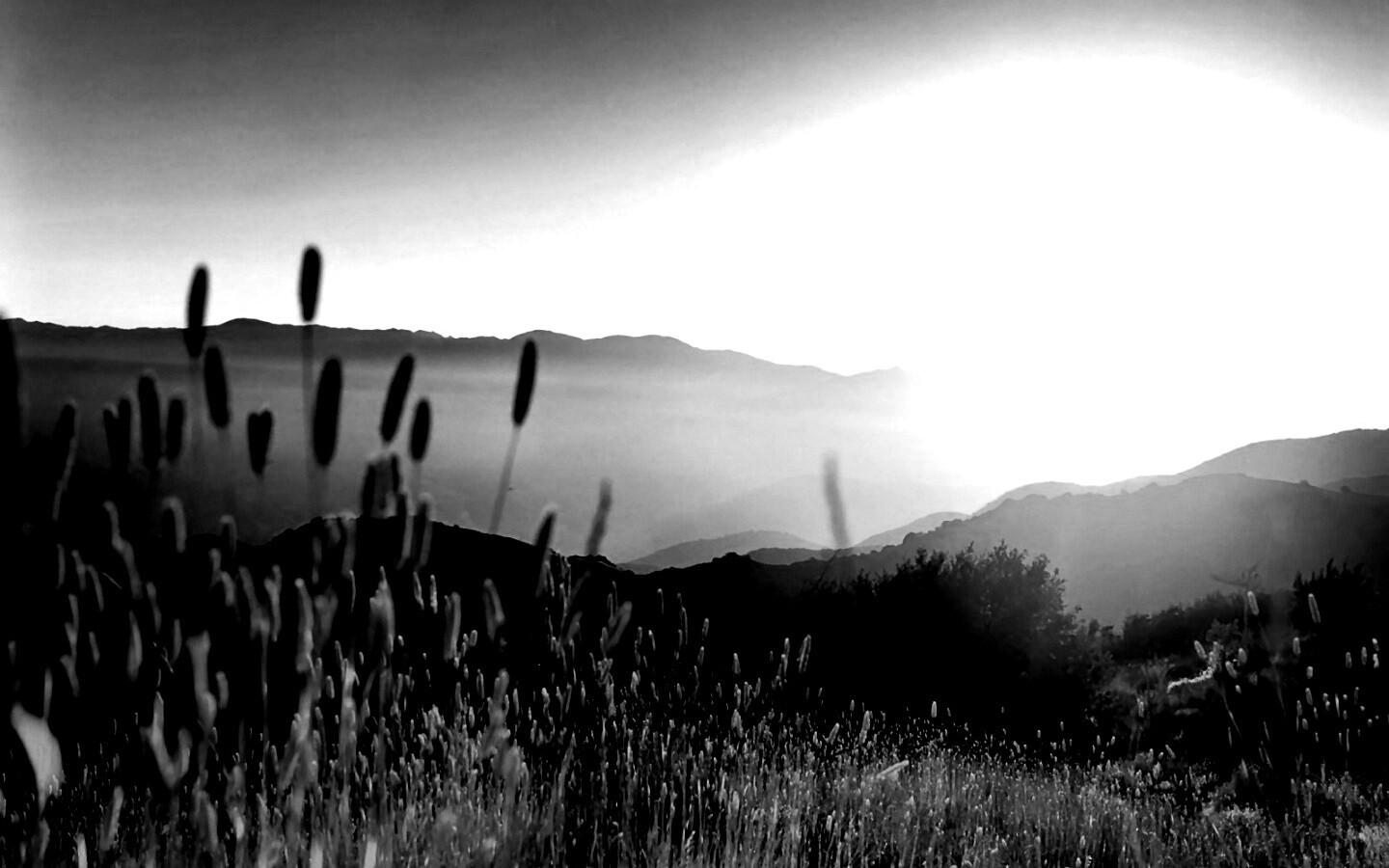 Восход над холмами обои