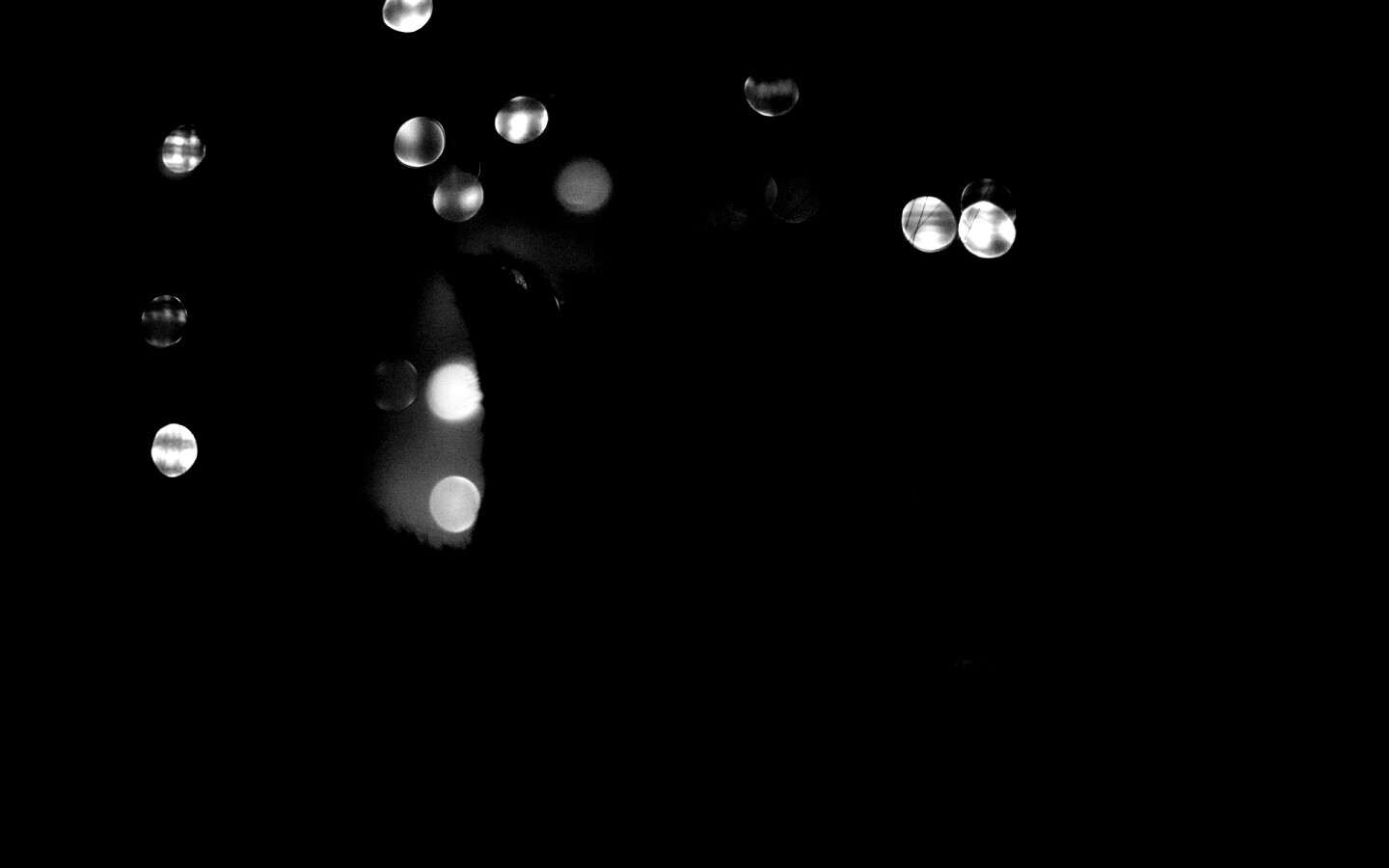 Силуэт черного кота обои