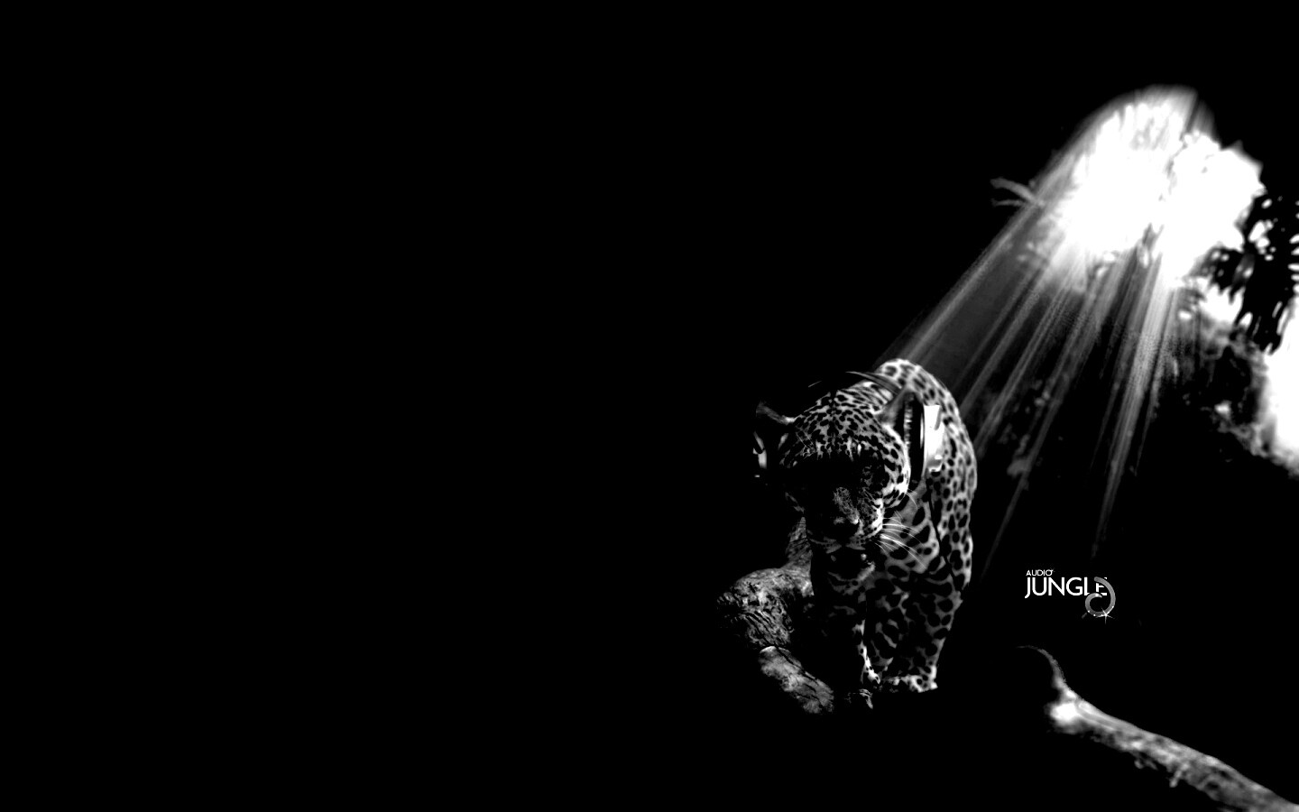 Ягуар в наушниках обои