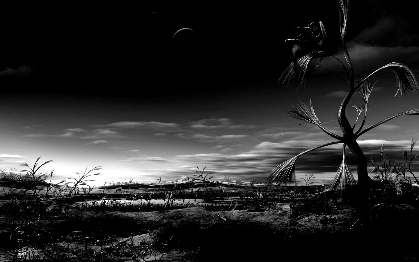 Флора и фауна другой планеты обои