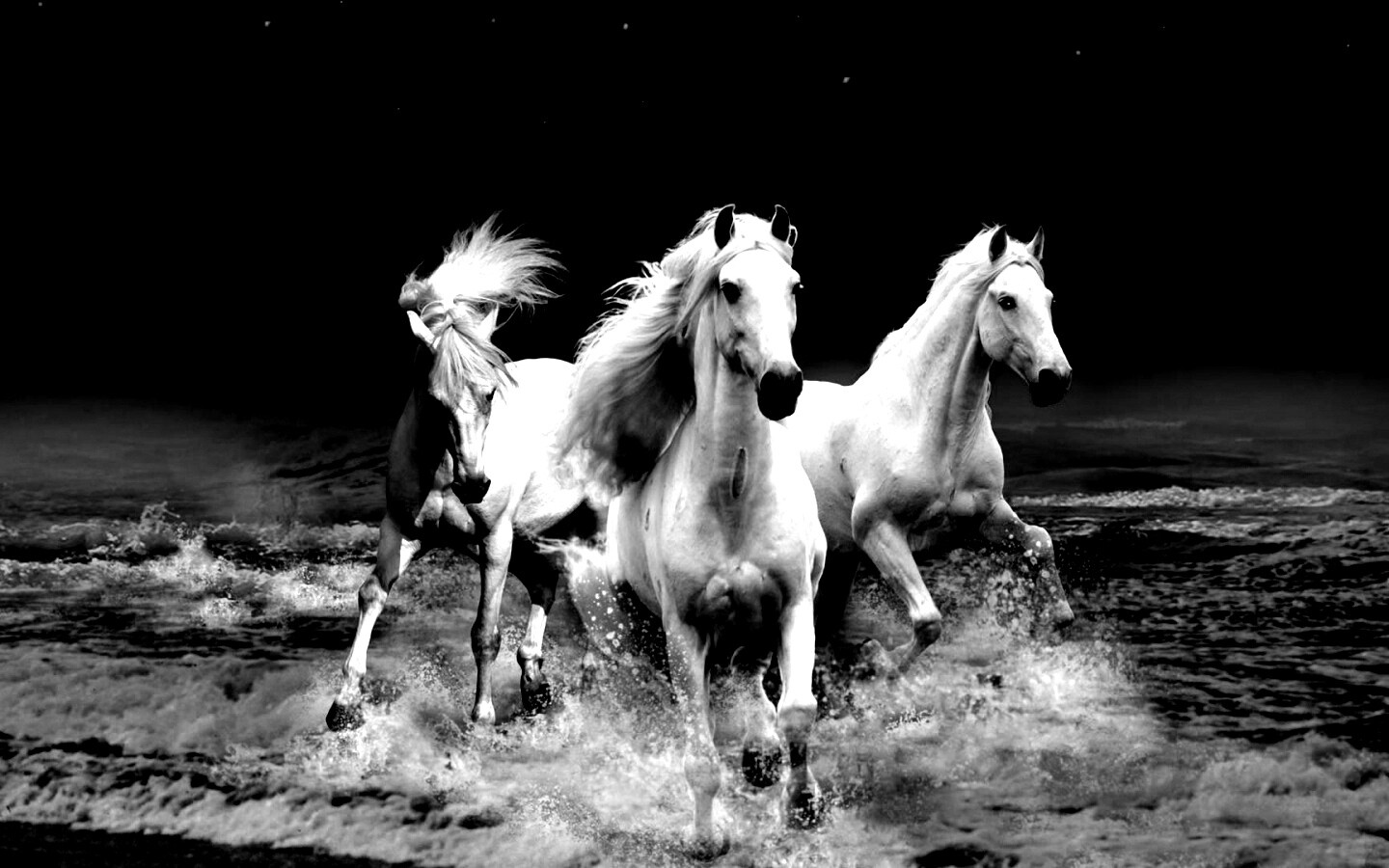 Тройка конец в море обои