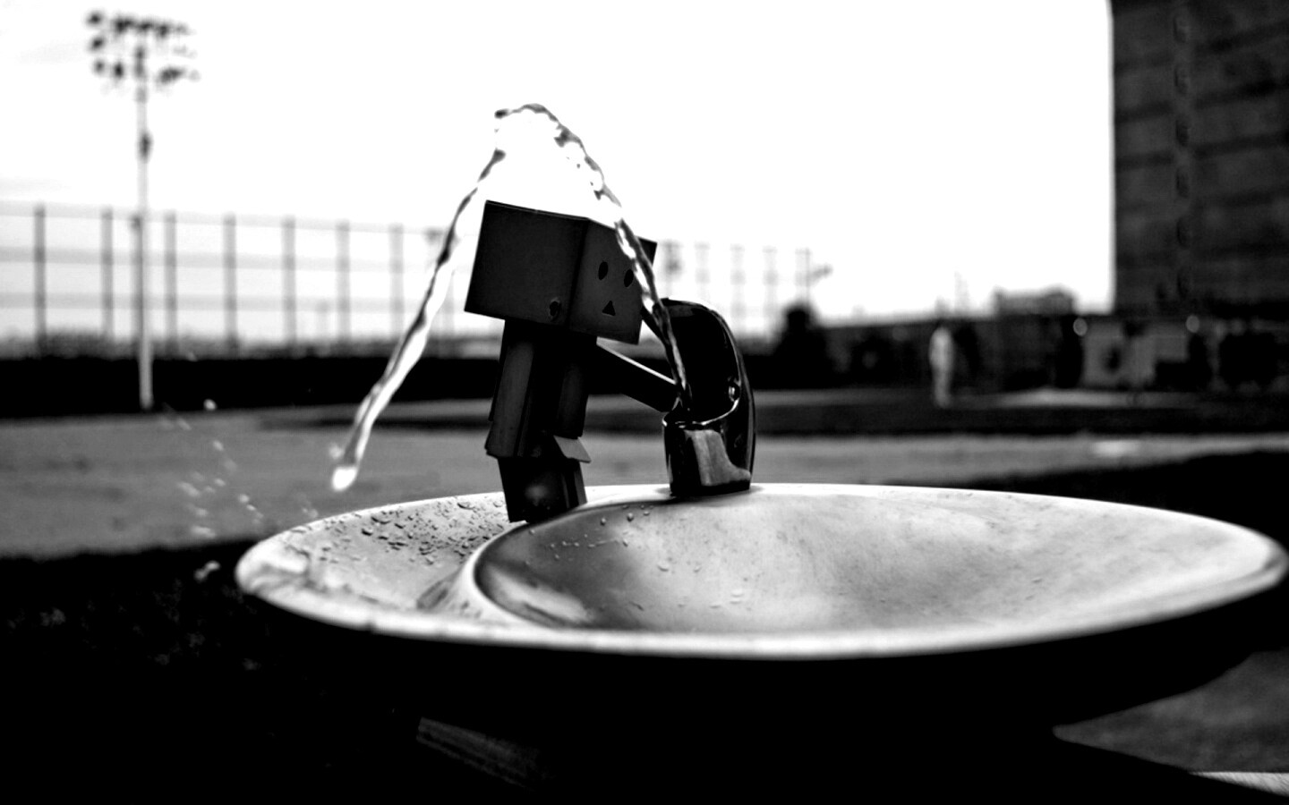 Дандо пьет в воду из фонтанчика обои