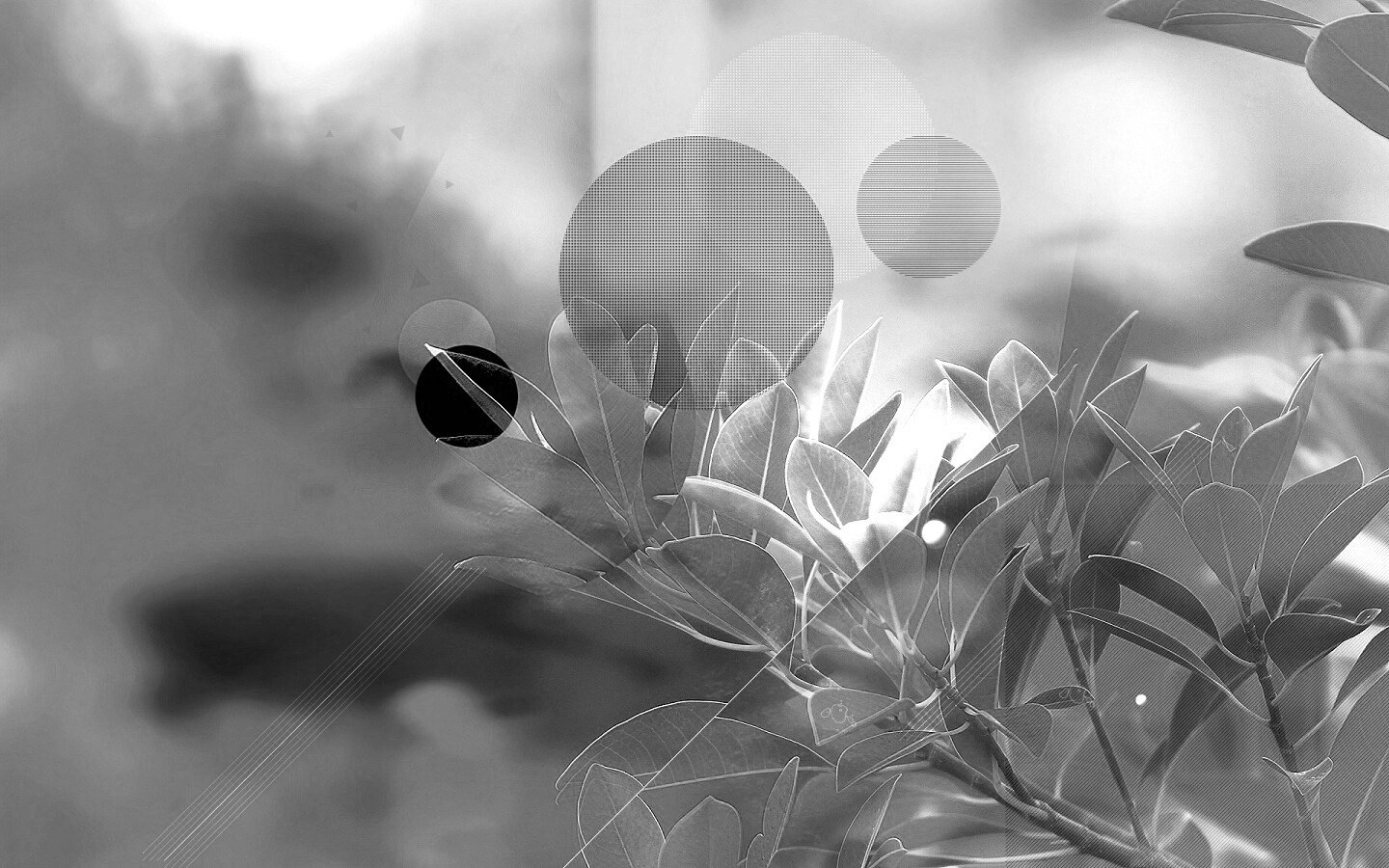 Синий фильтр с кргуами на фото листьев обои