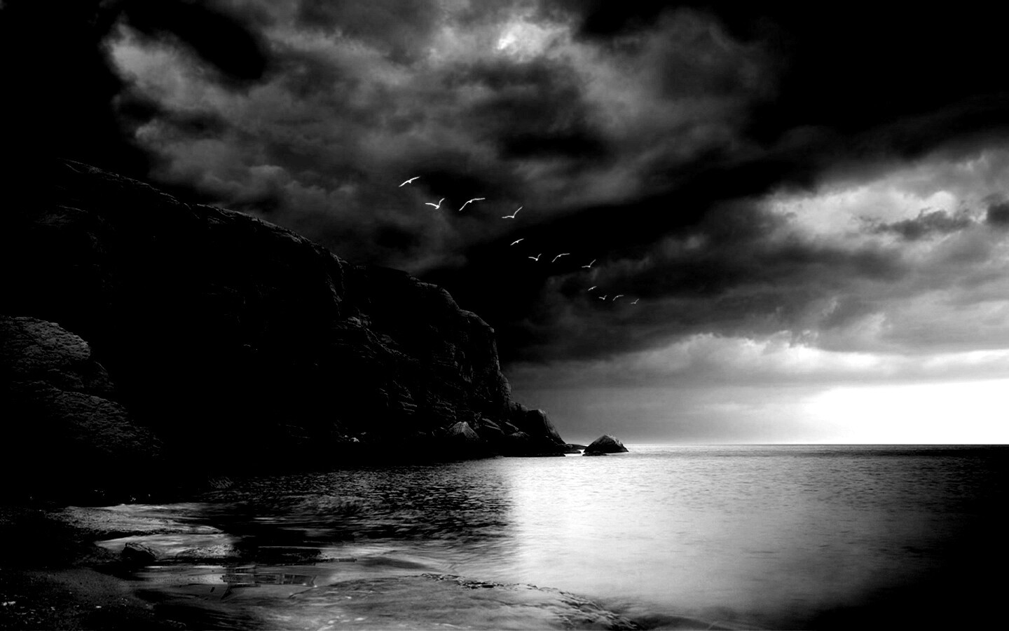 Чайки над скалами обои