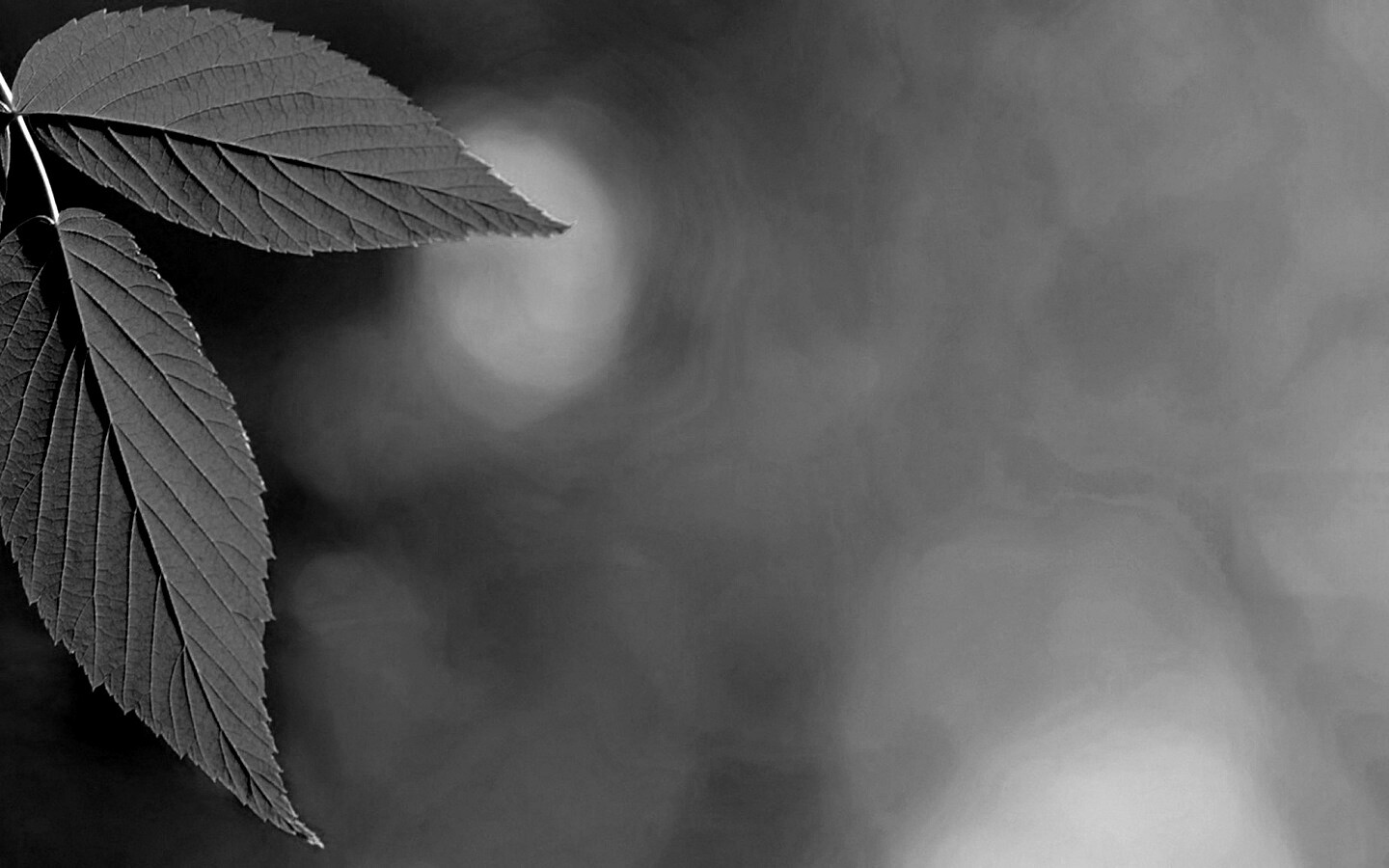 Два листа обои