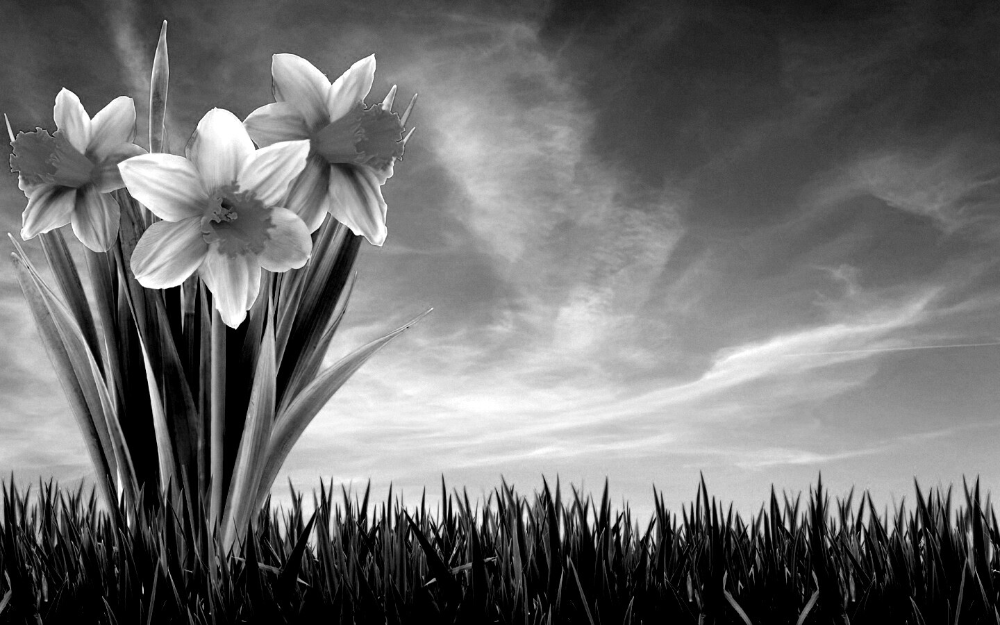 Букет цветов в траве обои