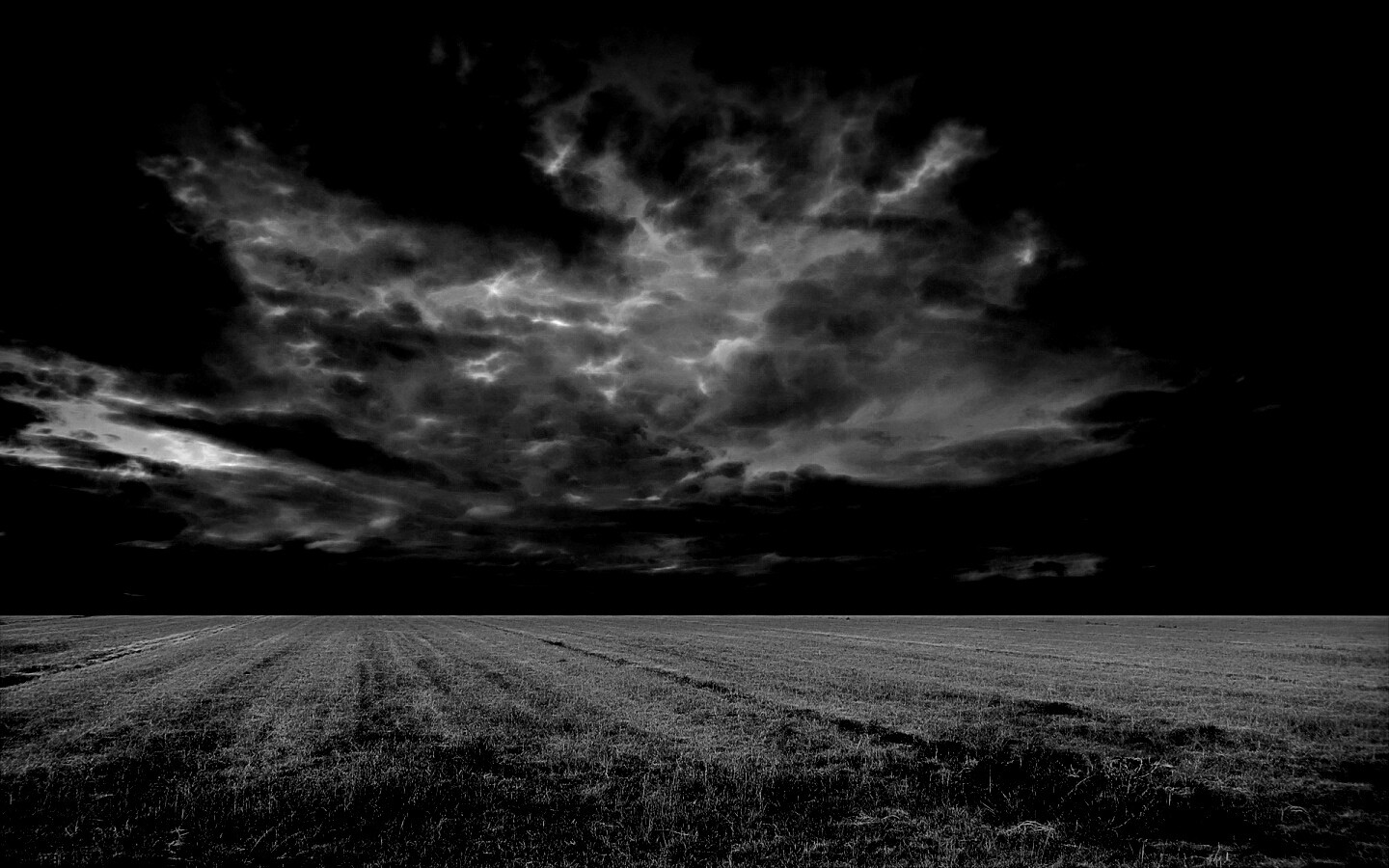 Тучи над желтым полем обои