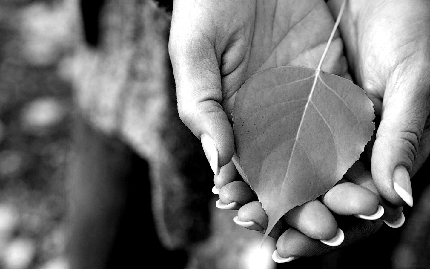 Осенний лист в руках обои