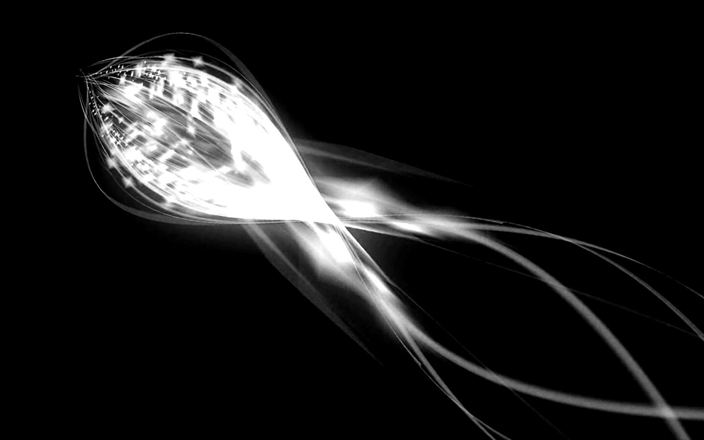 Сгусток красных линий обои