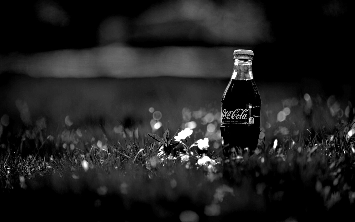 Кока-Кола на траве обои