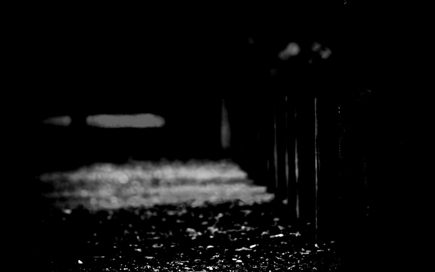 Аллея усеянная листвой обои