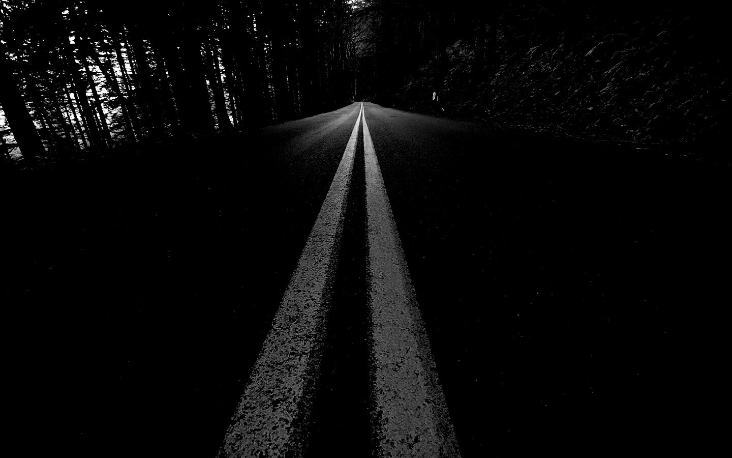 Дорога в лесу обои