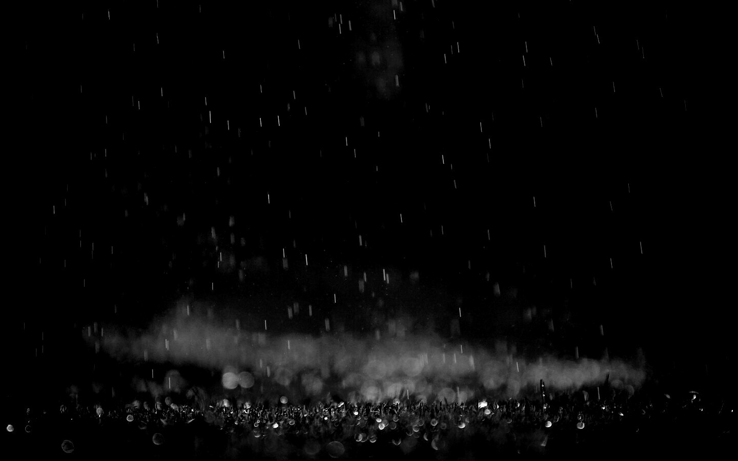 Трава под дождем обои