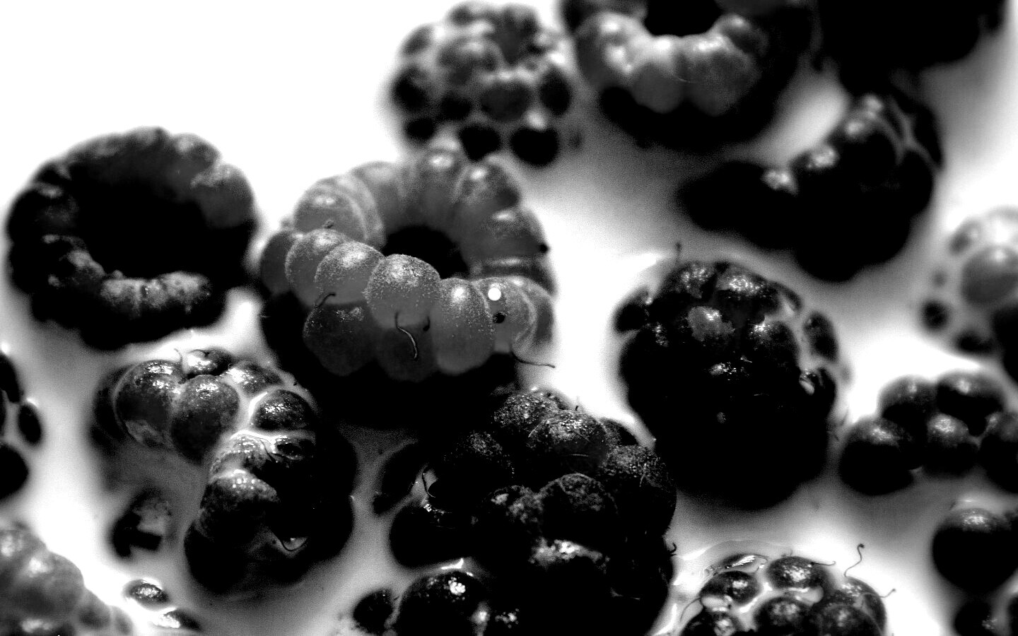 Малина в молоке обои