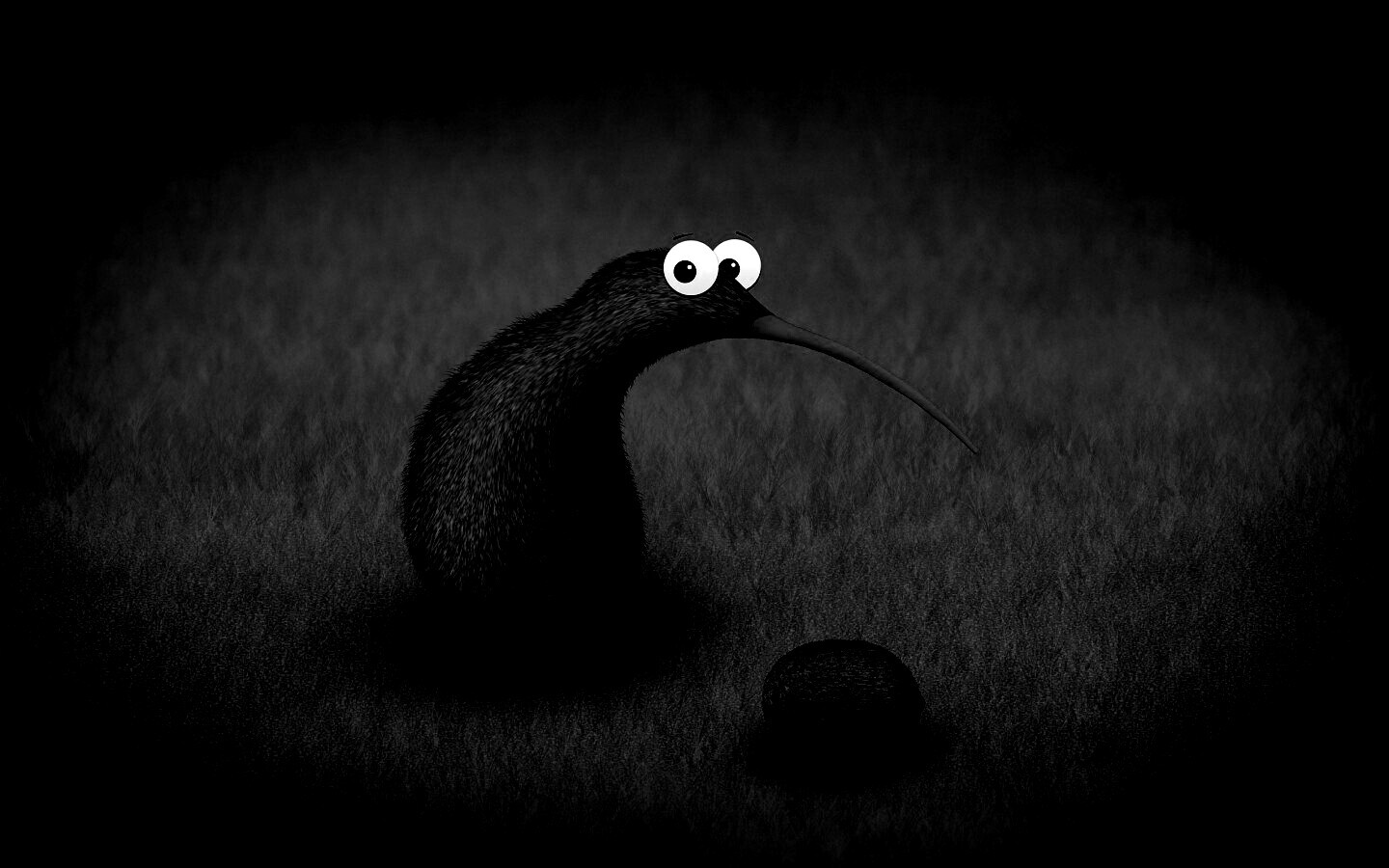 Киви и киви обои