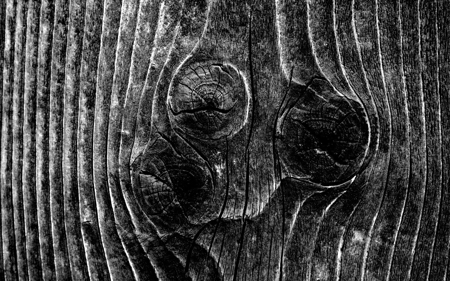 Сучковатое дерево обои