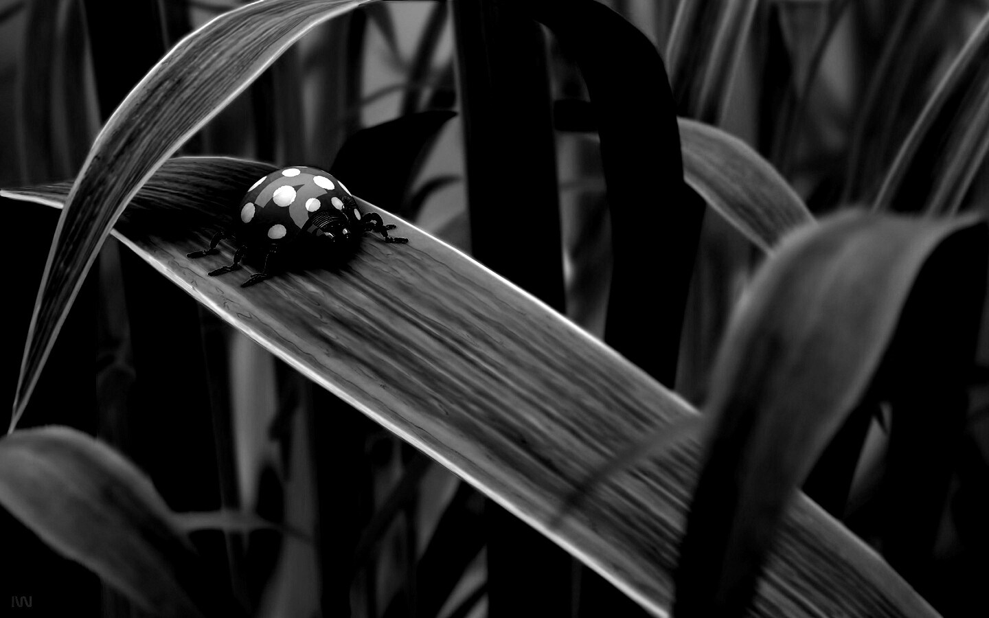 Милая божья коровка робот обои