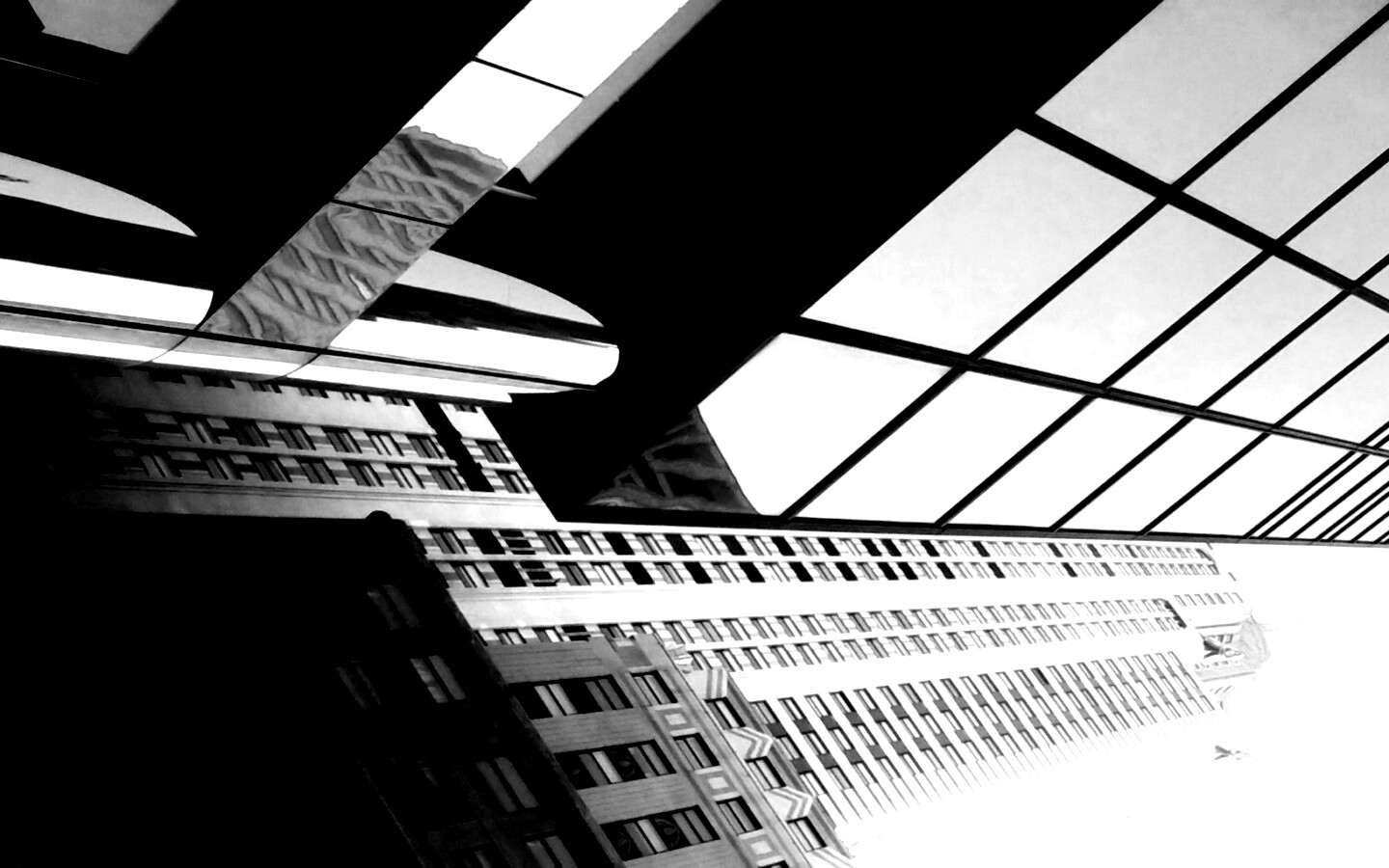 Взгляд вверх обои