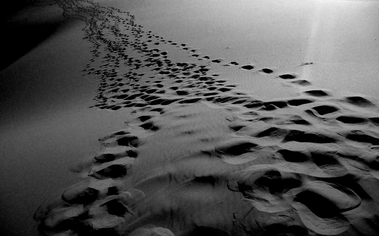 Следы в пустыне обои