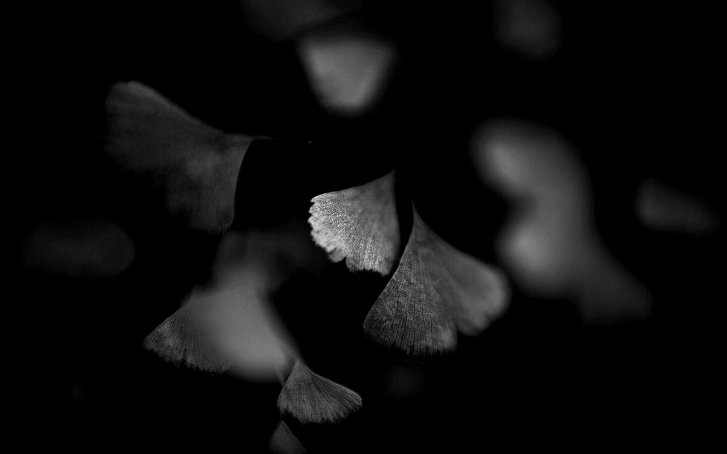 Дикие зеленые листья обои