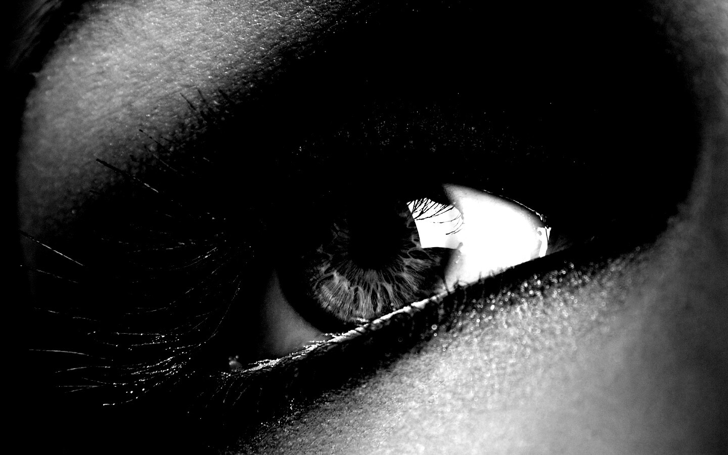 Оранжевый глаз обои